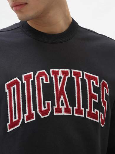 DICKIES DK0A4XAB