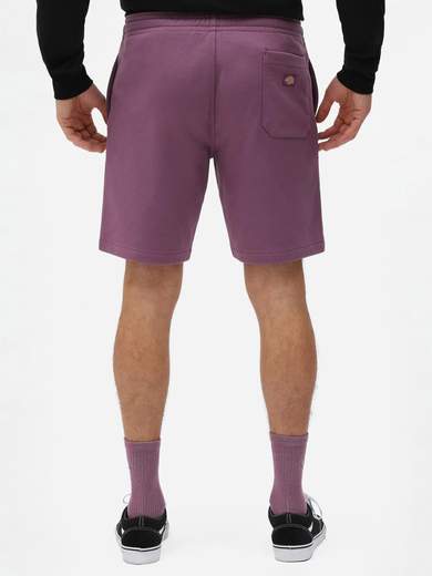 DICKIES CHAMPLINFELPA