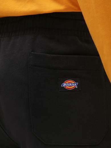 DICKIES CHAMPLINFELPA