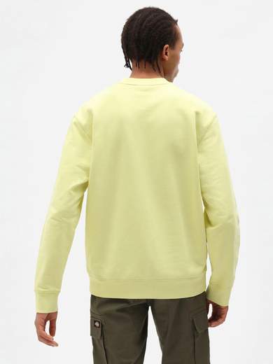 DICKIES SSMLORETTOTEE
