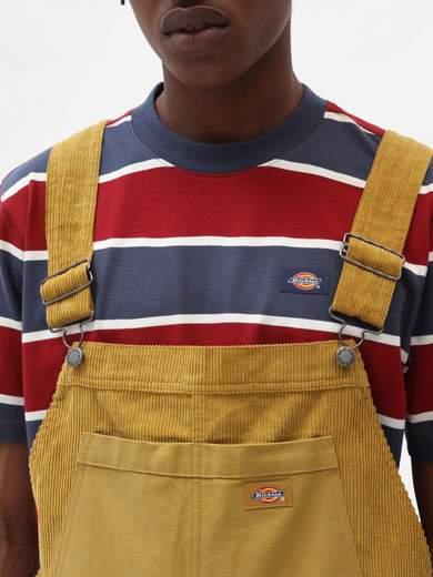 DICKIES DK0A4XFB