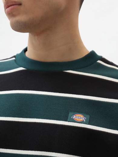 DICKIES DK0A4XFN