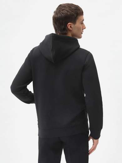 DICKIES DK0A4XCD