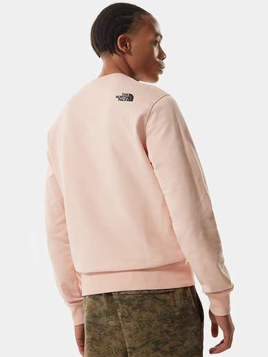 THE NORTH FACE NF0A4T1E
