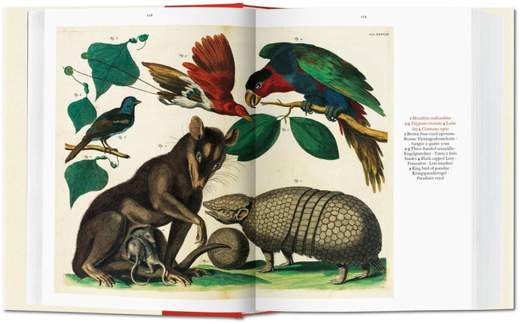 TASCHEN 9783836558099