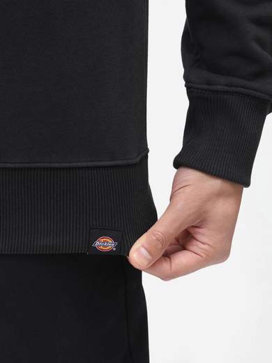 DICKIES DK0A4XAB