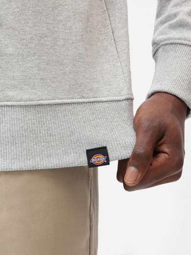 DICKIES DK0A4XAB