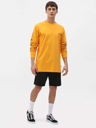 DICKIES CHAMPLINFELPA