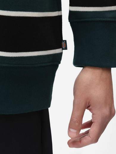 DICKIES DK0A4XFN