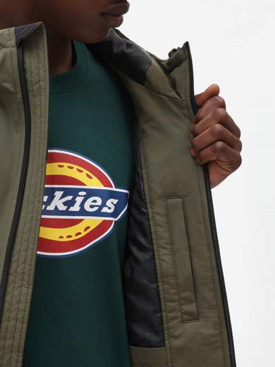 DICKIES DK0A4XG8