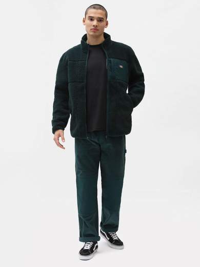 DICKIES DK0A4XGI