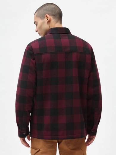 DICKIES DK0A4XGR