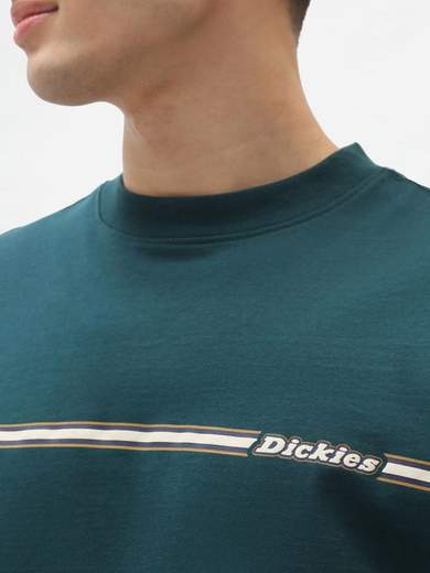 DICKIES DK0A4XIW