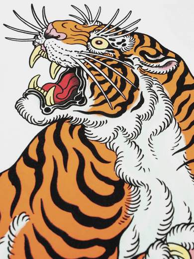 DOLLY NOIRE TS153-TA