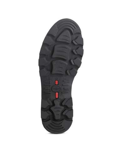 LE CHAMEAU BCB1498