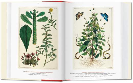 TASCHEN 9783836558099