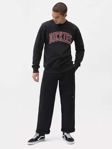 DICKIES DK0A4XAB