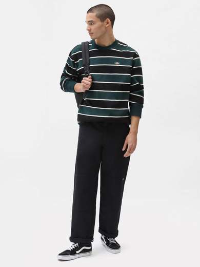 DICKIES DK0A4XFN