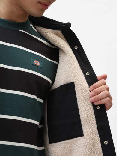 DICKIES DK0A4XH1