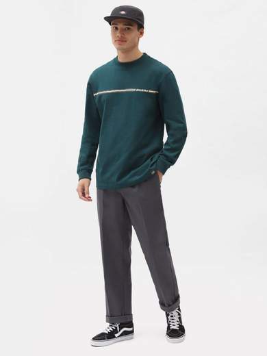 DICKIES DK0A4XIW