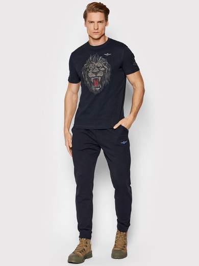 AERONAUTICA MILITARE PF850