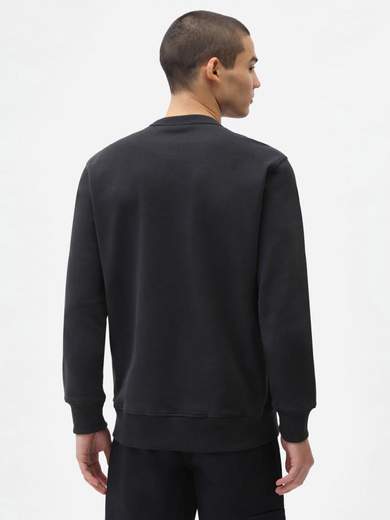 DICKIES DK0A4XAB