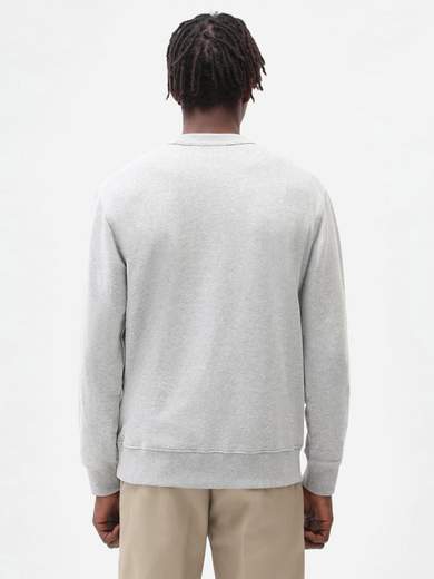 DICKIES DK0A4XAB