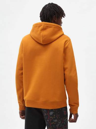 DICKIES DK0A4XCD