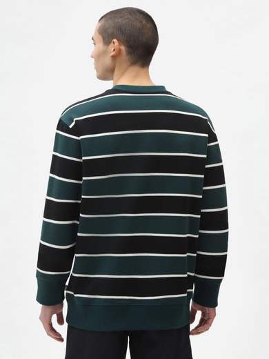 DICKIES DK0A4XFN
