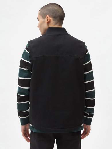 DICKIES DK0A4 XFX