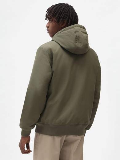 DICKIES DK0A4XG8