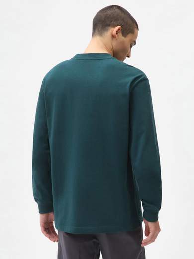 DICKIES DK0A4XIW