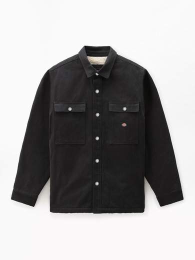 DICKIES DK0A4XH1