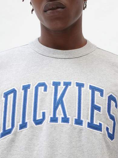 DICKIES DK0A4XAB