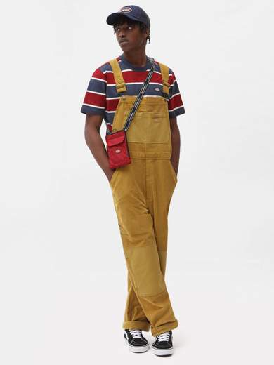 DICKIES DK0A4XFB