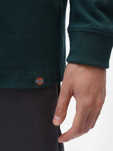 DICKIES DK0A4XIW