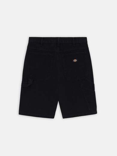DICKIES DK0A4XNG