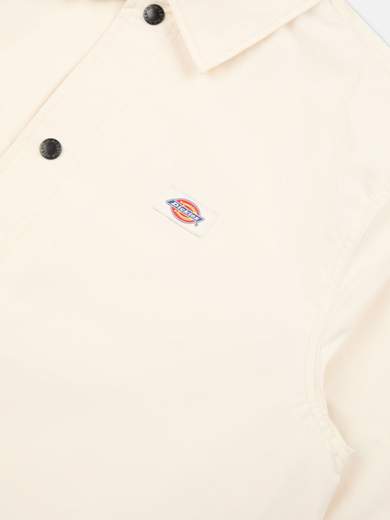DICKIES DK0A4XEW