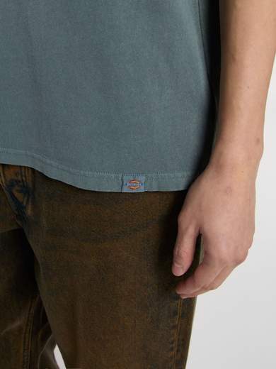 DICKIES DK0A4Z8X