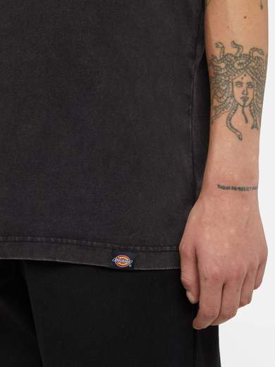 DICKIES DK0A866B