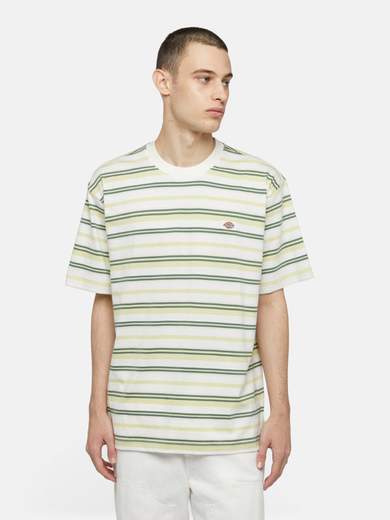 DICKIES DK0A4YR1