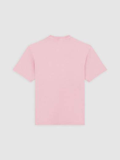 DICKIES DK0A866B