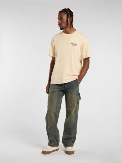 DICKIES DK0A863T