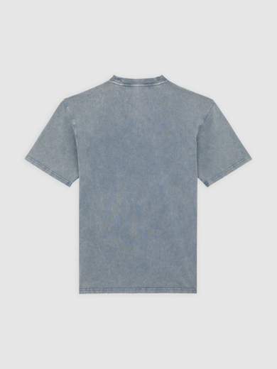 DICKIES DK0A866B