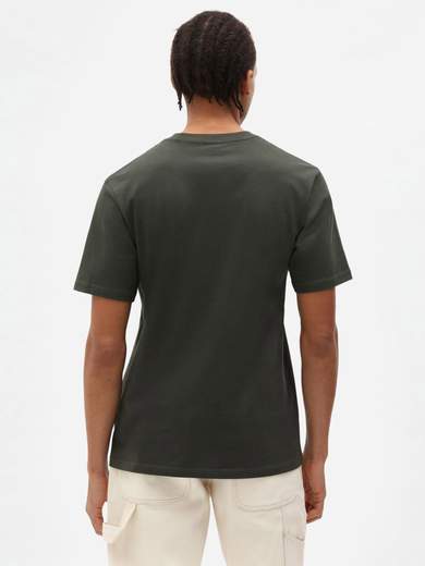 DICKIES DK0A4XDB