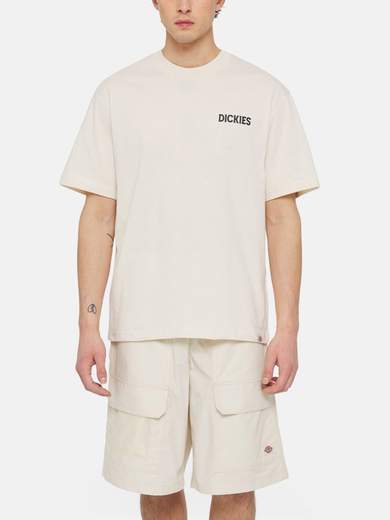 DICKIES DK0A4YRD