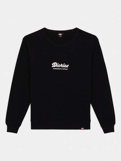 DICKIES DK0A8682