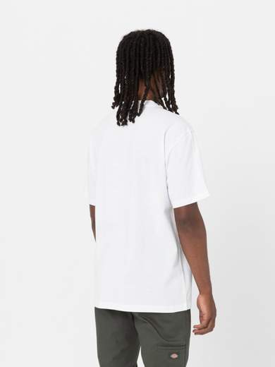 DICKIES DK0A4YFC