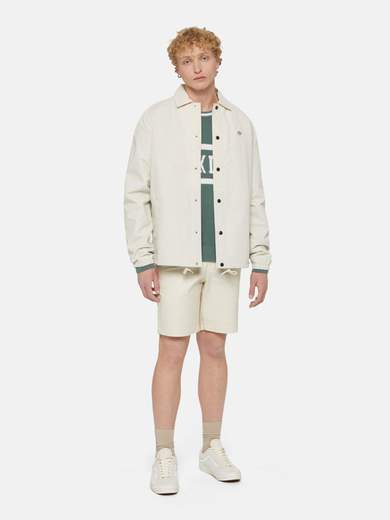 DICKIES DK0A4XEW
