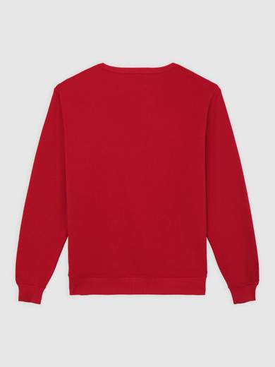 DICKIES DK0A8682